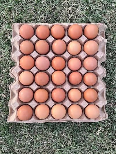Organic Desi Eggs (1 Tray- 30 Eggs