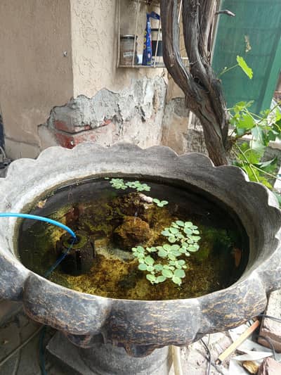 patio pond (different types available)