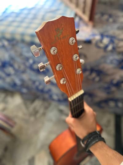 Swift Horse Semi-Acoustic Beginner Professional Guitar