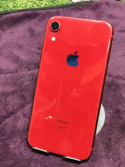iPhone XR
