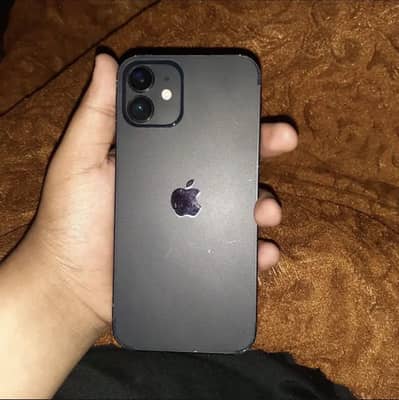 iPhone 12 64 water pack