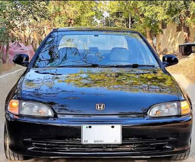 Civic Dolphin Urjent Sale