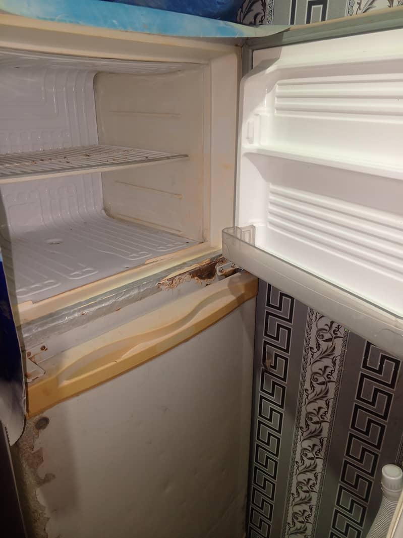 Medium Size refrigerator 1