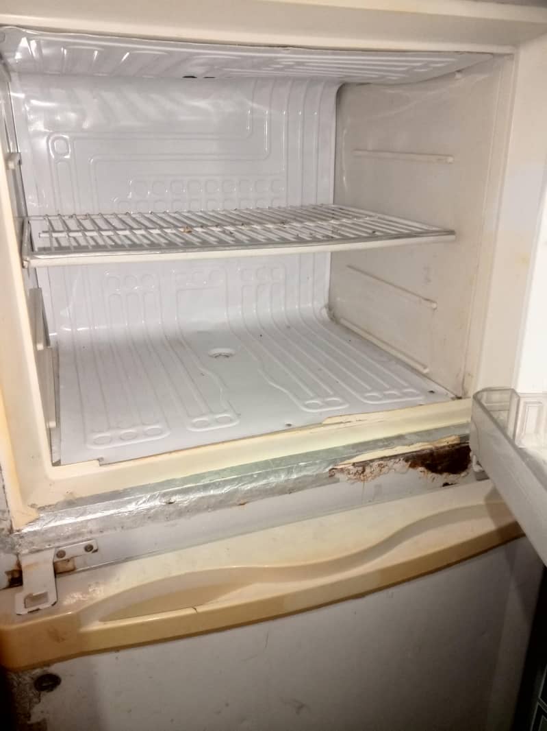 Medium Size refrigerator 2
