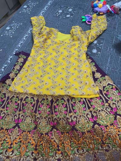 Party Langa For Urgent Sell