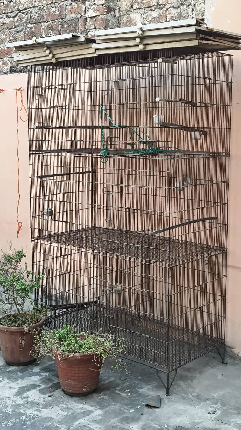 Bird Cage 0