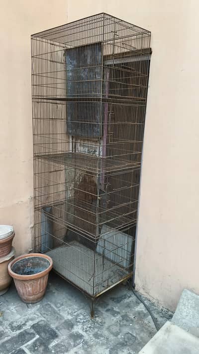 Bird Cage