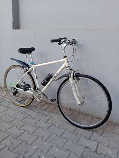 Louis Garneau Italian hybrid bike