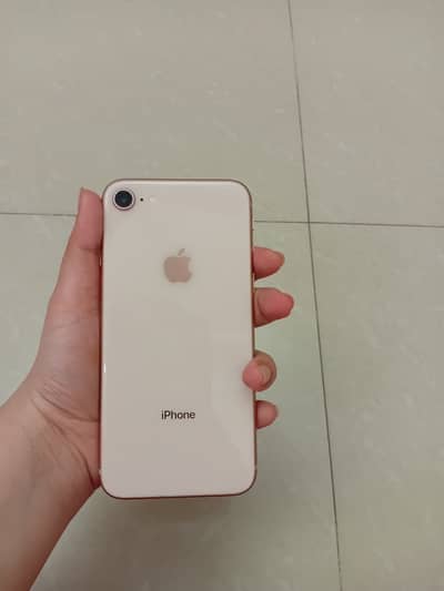 iPhone 8 64gb Pta Approved