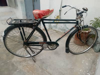 Sohrab cycle 24"