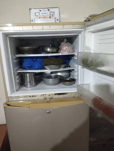 pel refrigerator