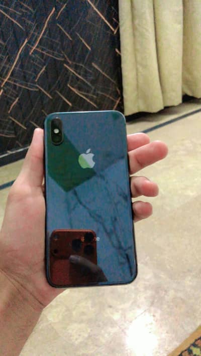 iphone x back and Xs panel