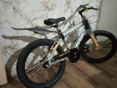 cycle 20 inch / fatty tire cycle