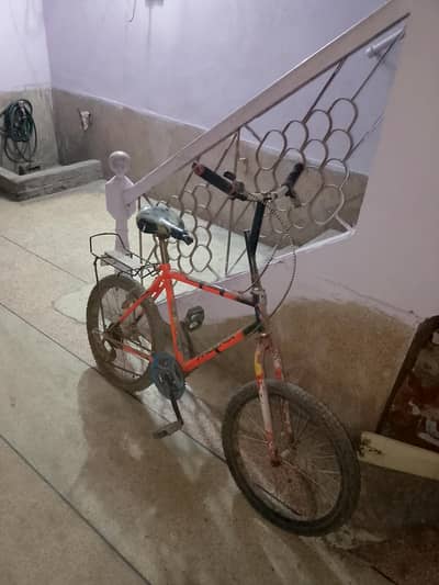 cycle selling Kay lihay