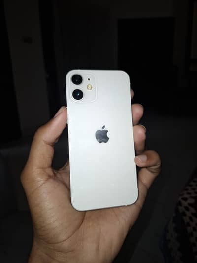 sasta tareen phone 12 mini