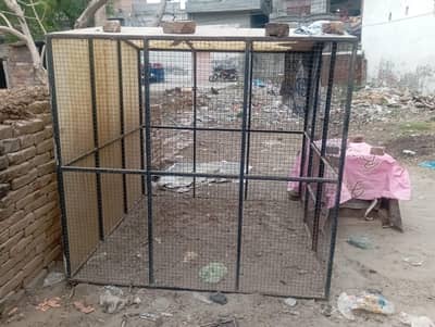 big size pinjra( cage )  hum ny more rakhy howe the