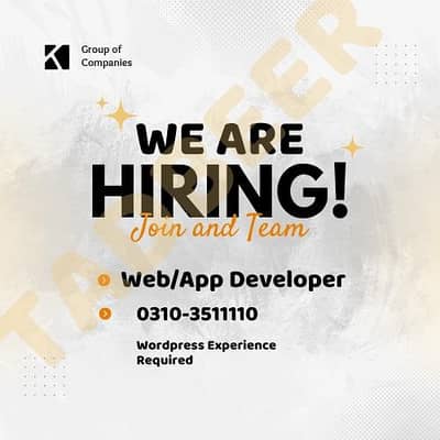 Web App developer