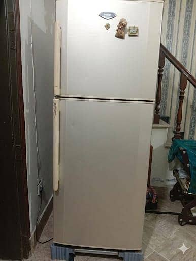 “Haier Jumbo  Fridge Double Door Working With Stand – Multan