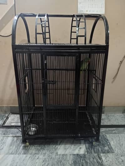 Iron Cage For Hen - Animals for sale in Lahore | OLX Pakistan
