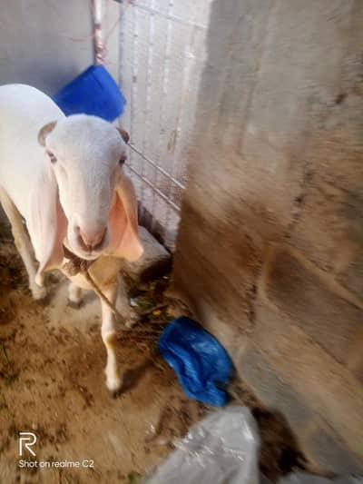 his to mail and one family