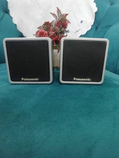 Panasonic speaker's