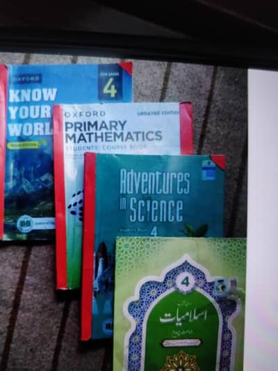 APS grade 4 books