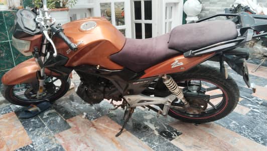 Good Sport's havey Bick