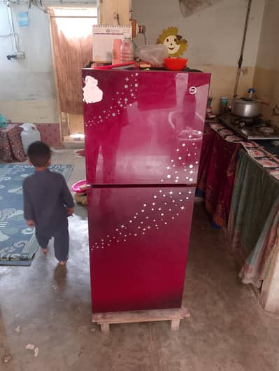 Pel Medium Size Excellent working