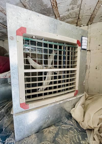 Solar + electricity cooler