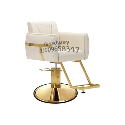 Saloon chairs/cutting chairs/Barber chairs/Facial bed/shampoo unit