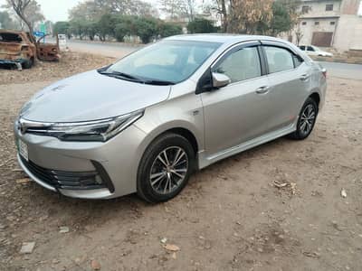 Altis Grande Model 18/19