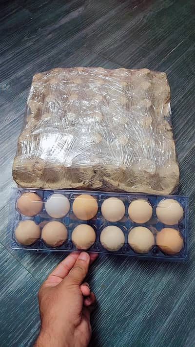 Pure Desi Anday Eggs