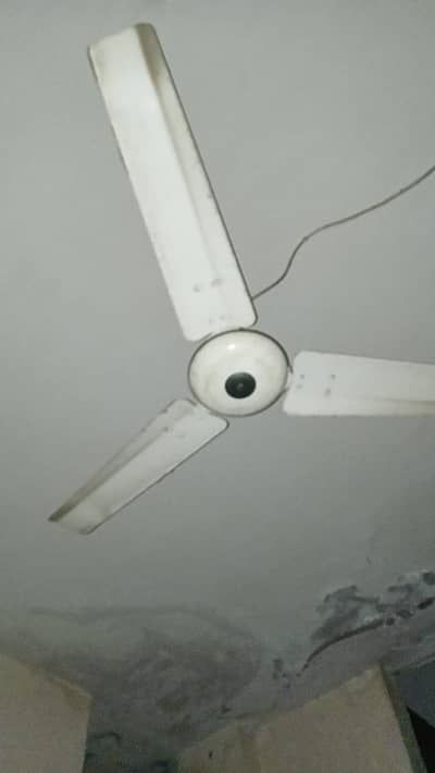 2 electric fan