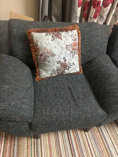 Two seater relaxing Sofa