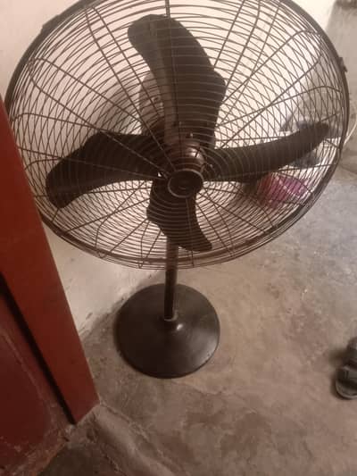 padistel fan