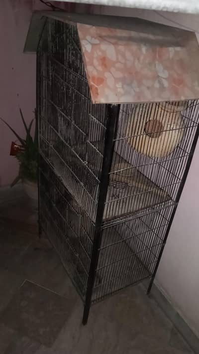 cage  pinjara . .