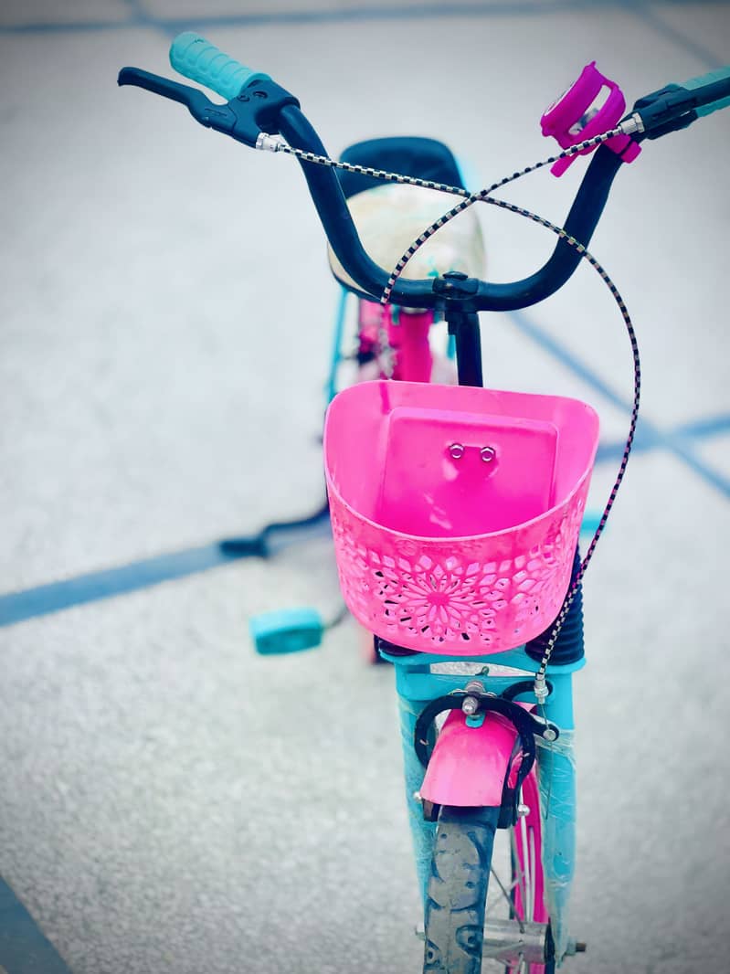 Barbie cycle 1