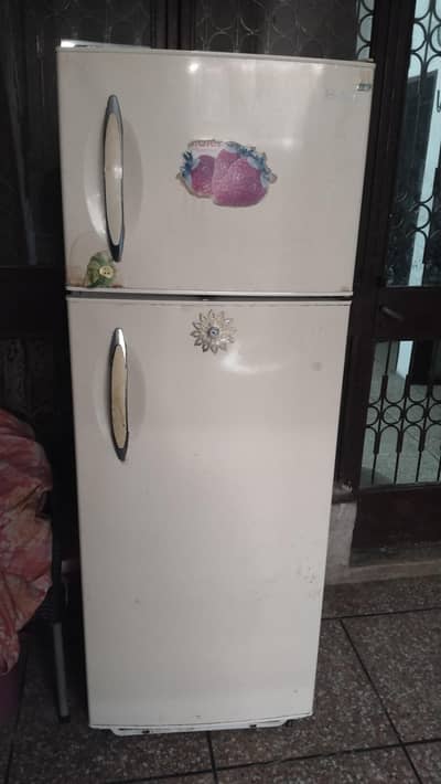 Fridge/Hair working 100%