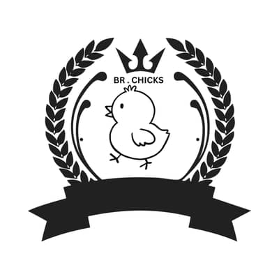 Healthy Baby Chicks for Sale – Limited Stock A grade chicks