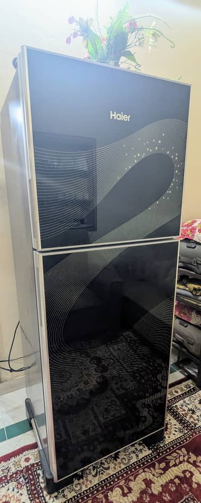 Haier medium size glass fridge