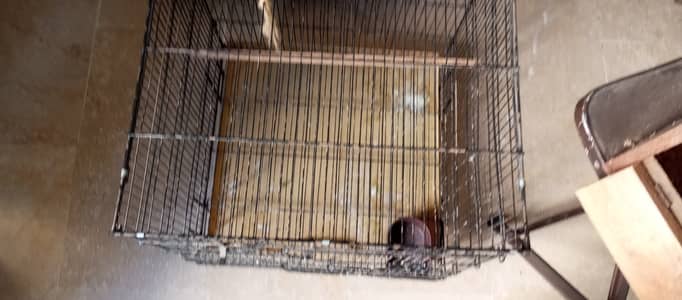 Cage for sale