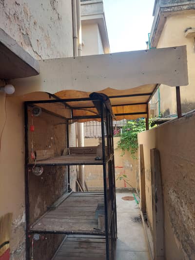 iron cage 5×3×2.5 with fiber shade 18 guage