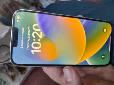 iphone 13 pro max  256 gb