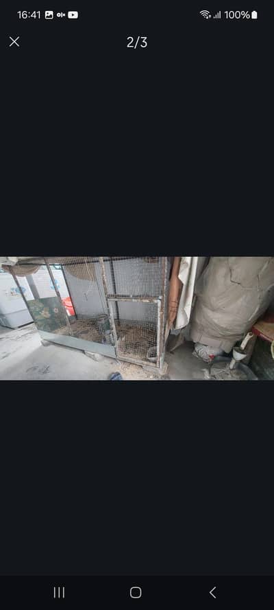 cage for hens and birds 5 ft. ×3ft×2ft