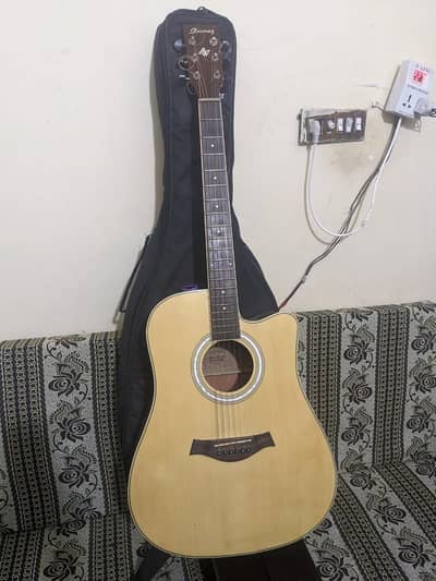 Ibanez  Professional Guitar