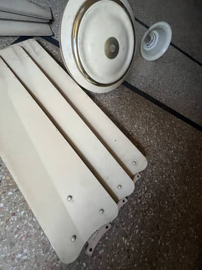 Gfc old fan for sale