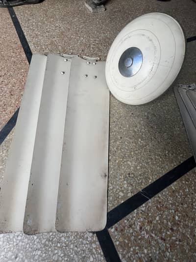 Royal ceiling fane for sale