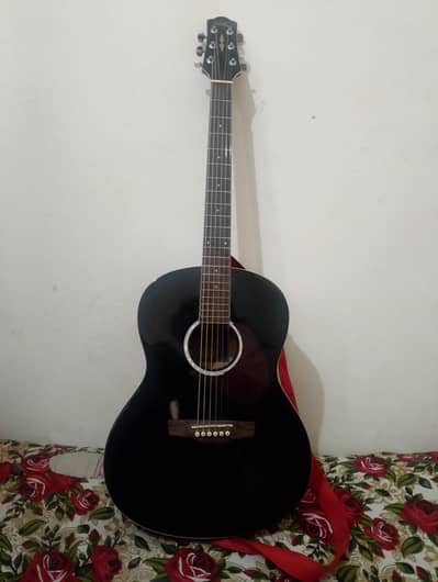 Professional Guitar For sale with truss Rod