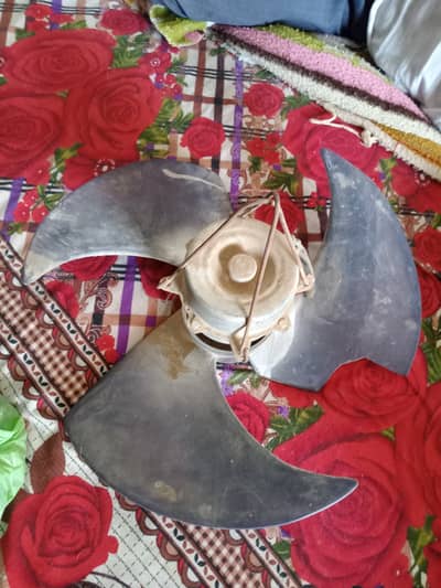 Fan for small shops stores