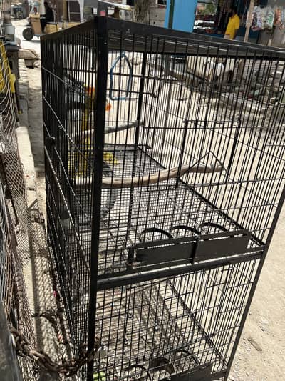 Double portion cage saaf Sutra Naya Paint full fresh